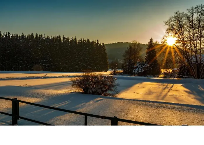 Kauschinger דירה