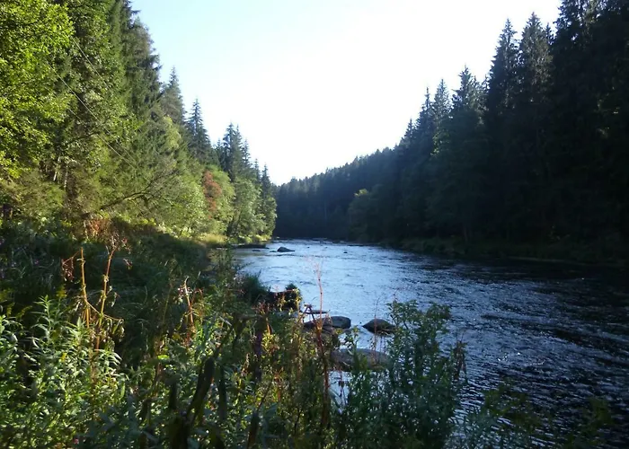 Kauschinger דירה Böbrach